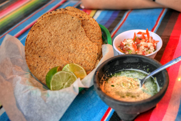 Chips & Salsa Verde/Ceviche