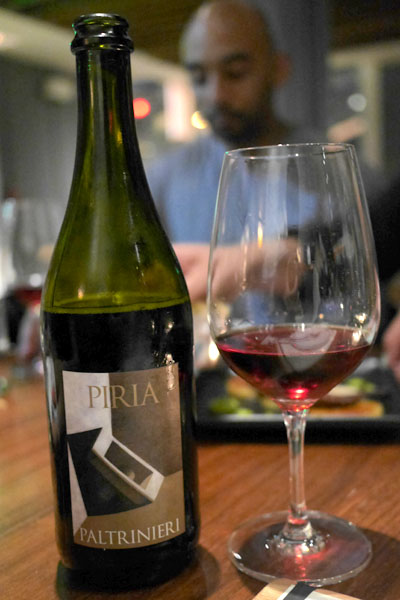 2013 Paltrinieri Lambrusco di Sorbara Piria