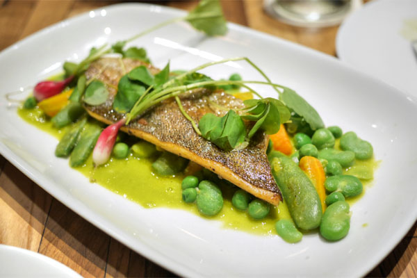 sausalito trout, pea and pistachio veloute, snap peas, pea greens