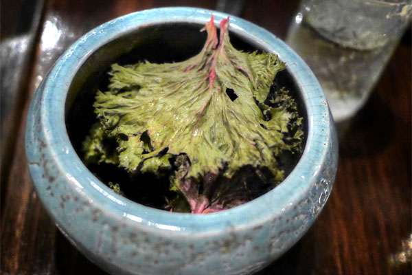 Lemon & Pistachio Kale Chips