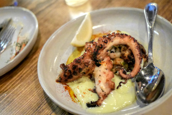 wood grilled octopus, cannellini beans, treviso, lemon aioli, salsa verde