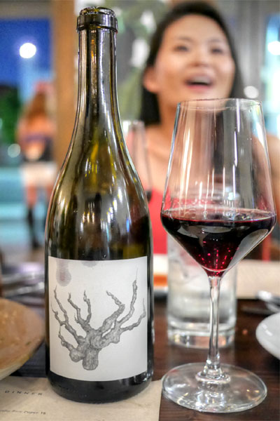 Broc Cellars 'Carbonic' Carignan 13', Alexander Valley, California