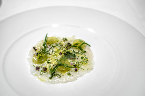 Sea Bream Carpaccio