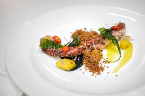 Grilled Octopus