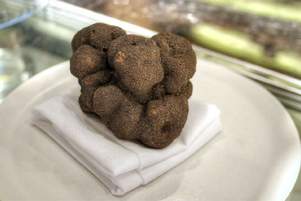 Large Black Truffle