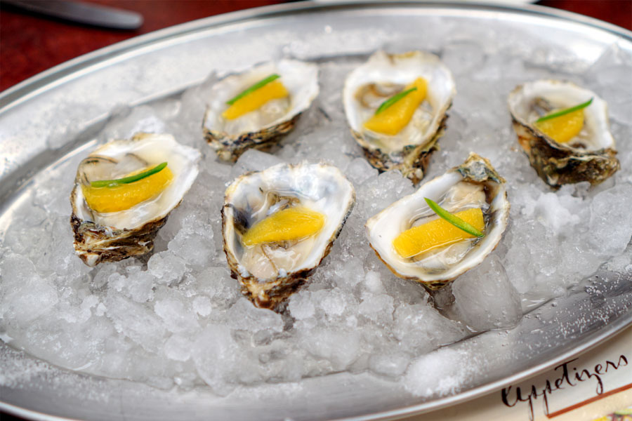 Kumiai Oysters