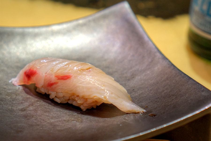 Shima Aji