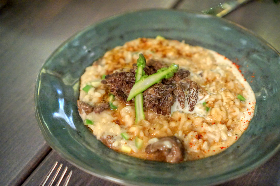 Risotto aux Morilles