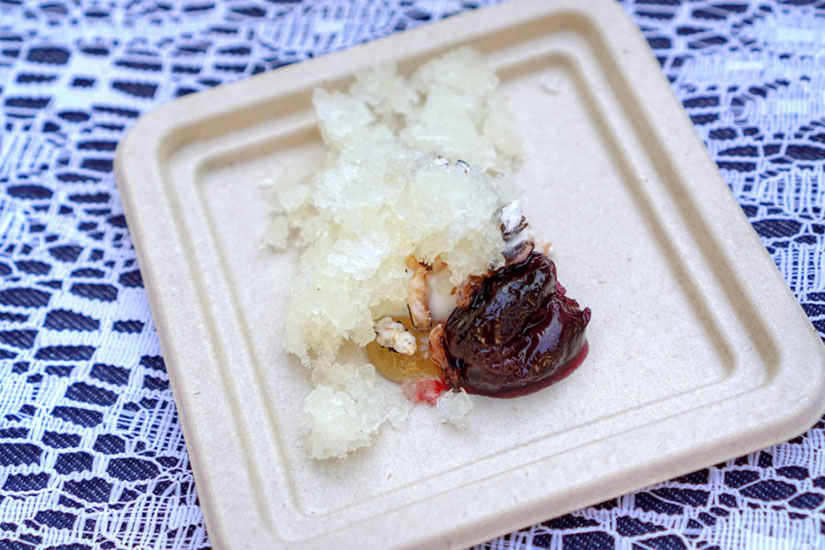 Greek yogurt panna cotta, stewed cherries, puffed wild rice, honey, yuzu granita