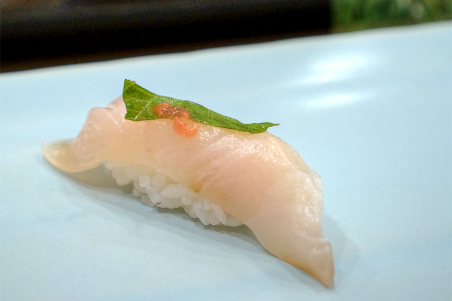 Shima Aji