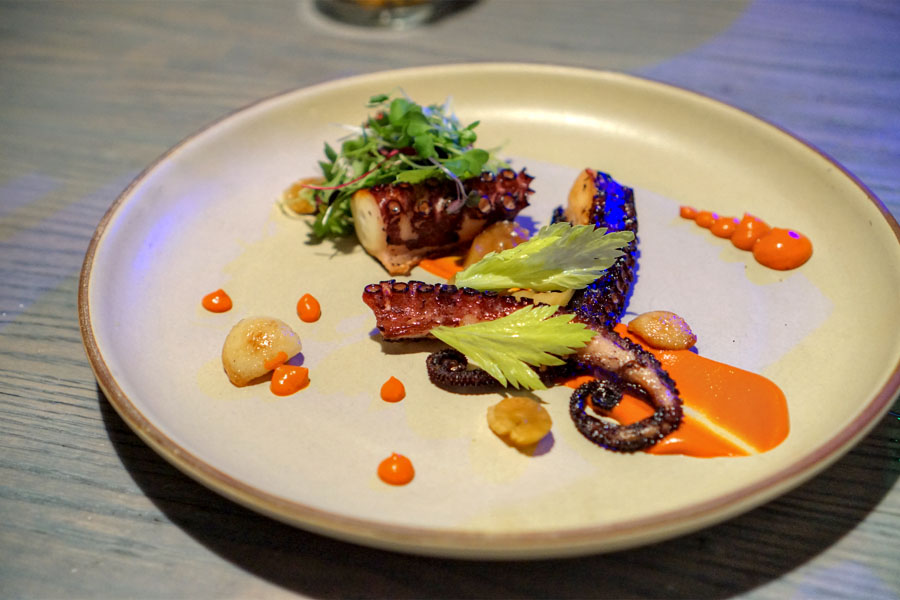 Grilled Octopus