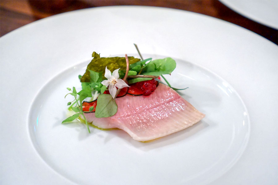 Brook trout, cucumber, borage, nettles