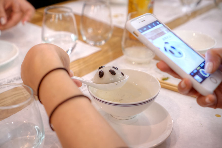 Instagramming the Panda Rice Ball