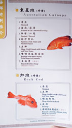 Sea Harbour Live Seafood Menu: Australian Garoupa, Rock Cod