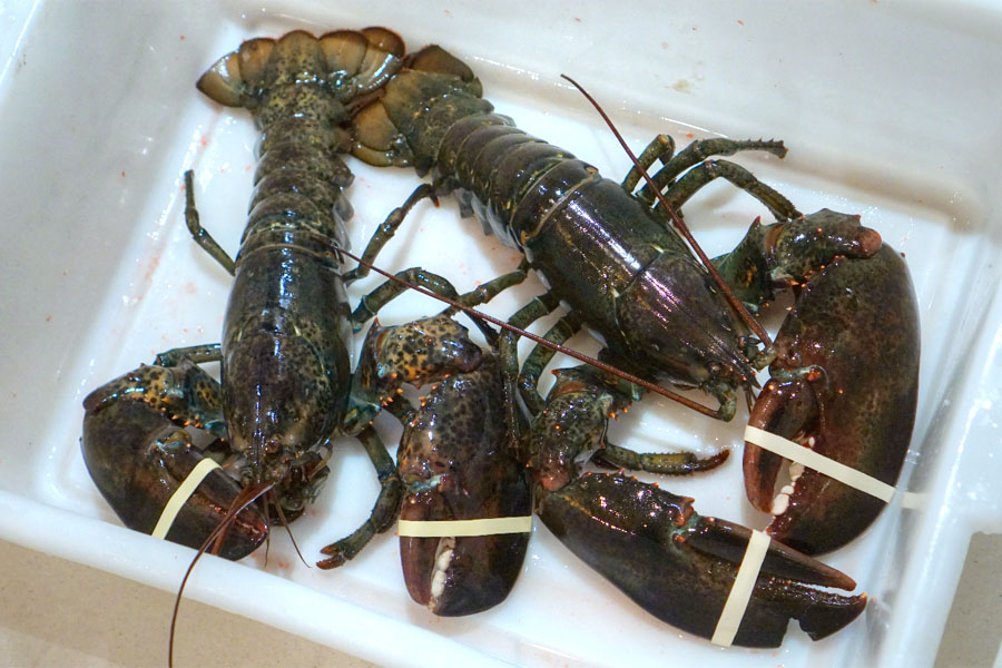 Lobsters