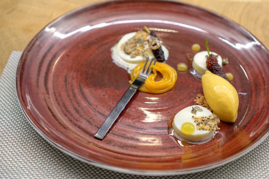 OLIVE OIL PANNA COTTA | MULBERRIES | APRICOT SORBET