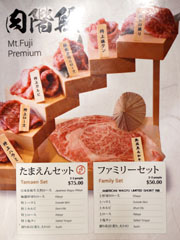 Tamaen Menu: Mt. Fuji Premium Sets