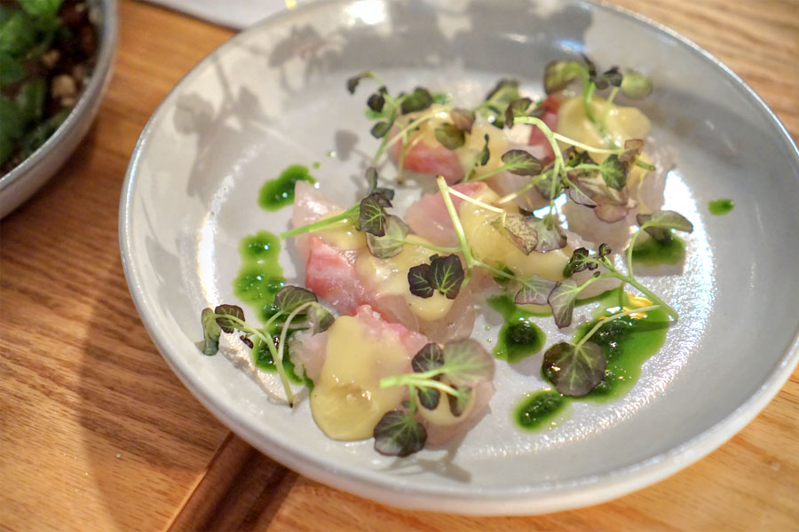 Sea Bream Crudo