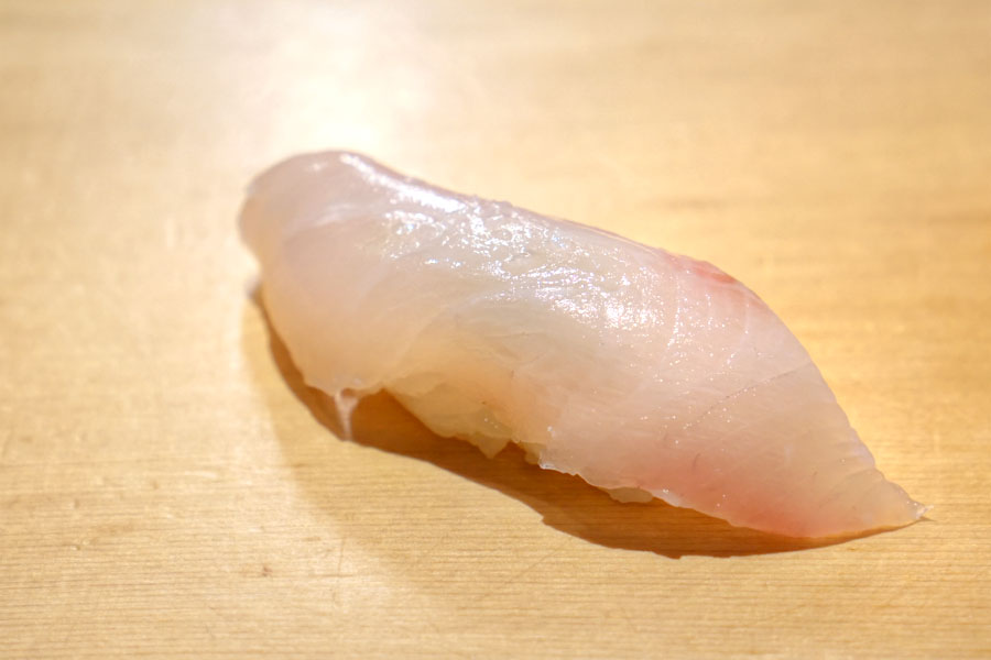 Shima Aji