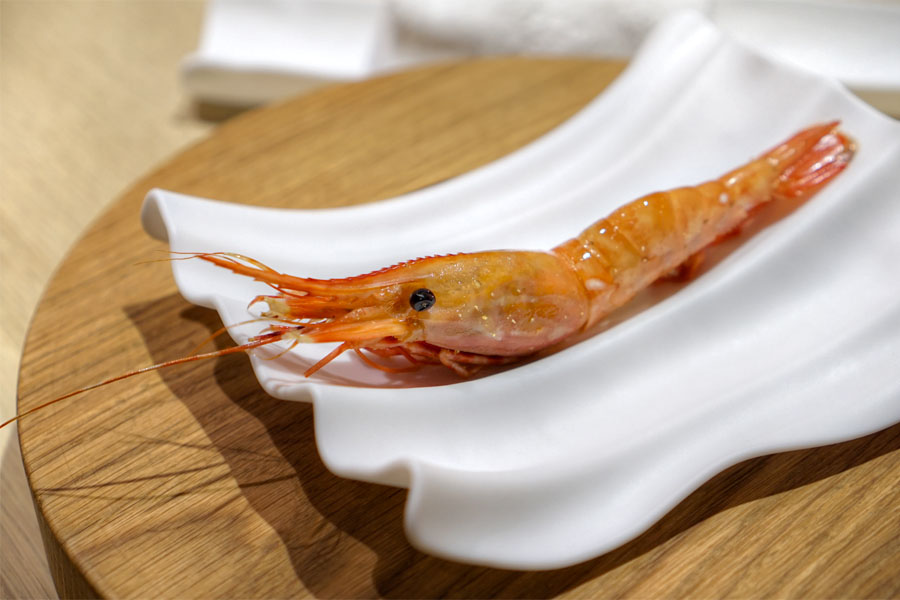 santa barbara spot prawn