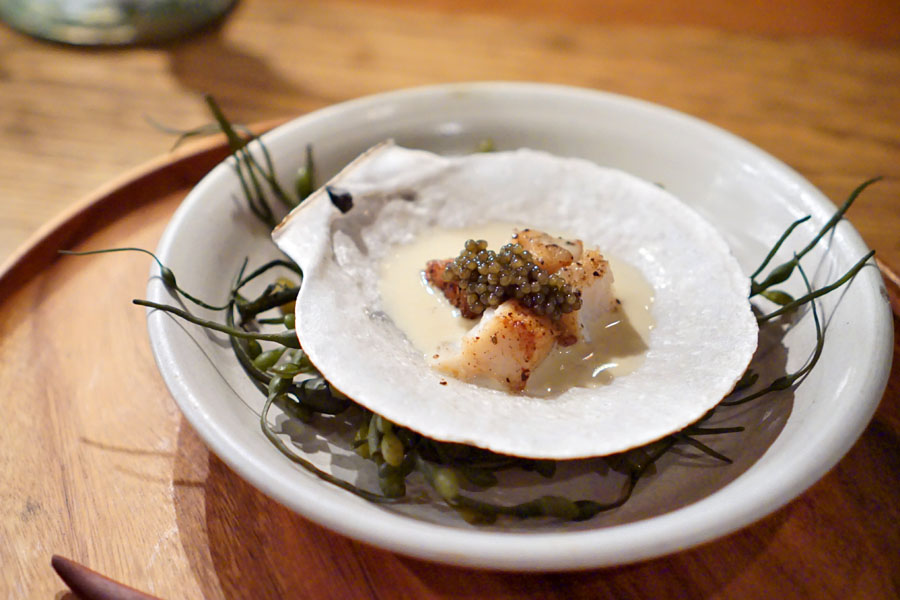 LIVE SCALLOP