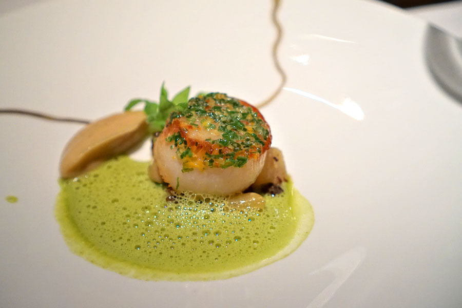 Stonington Maine Scallop