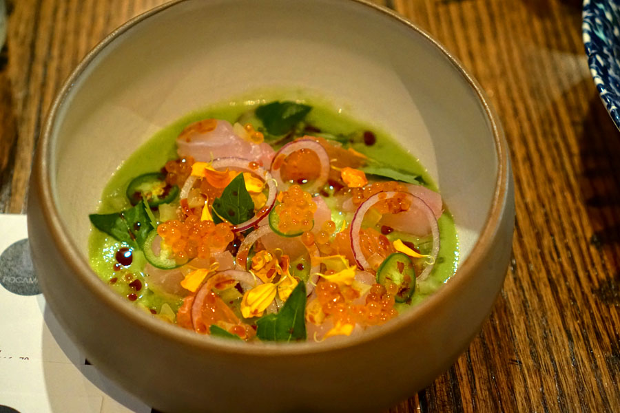 Snapper aguachile, yuzu, avocado, green tomato, grapefruit, basil