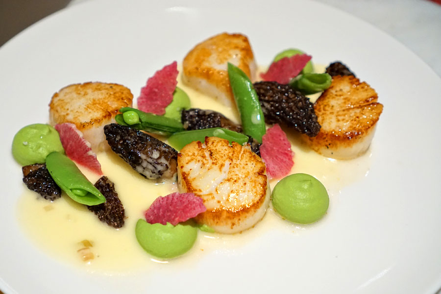 Maine Scallops