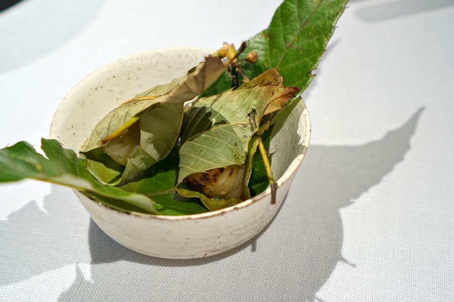 Chestnuts, Kyoto • Green Yuzu, Shizuoka