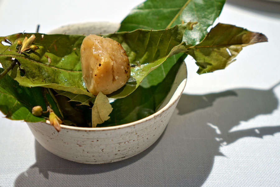 Chestnuts, Kyoto • Green Yuzu, Shizuoka