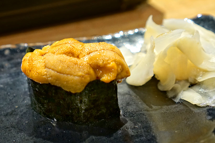 Sea Urchin / Uni