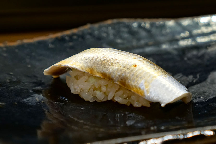 Gizzard Shad / Kohada