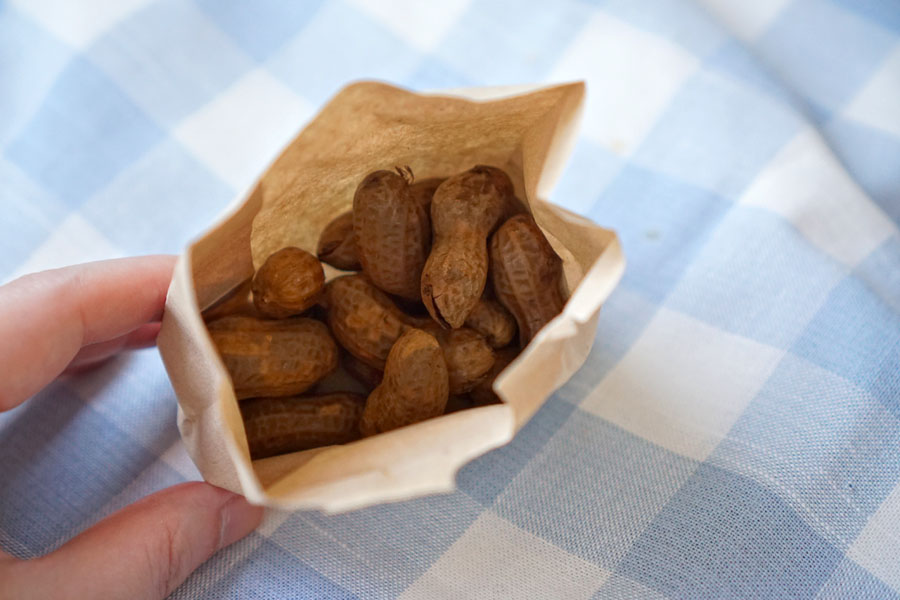 Boiled Peanuts