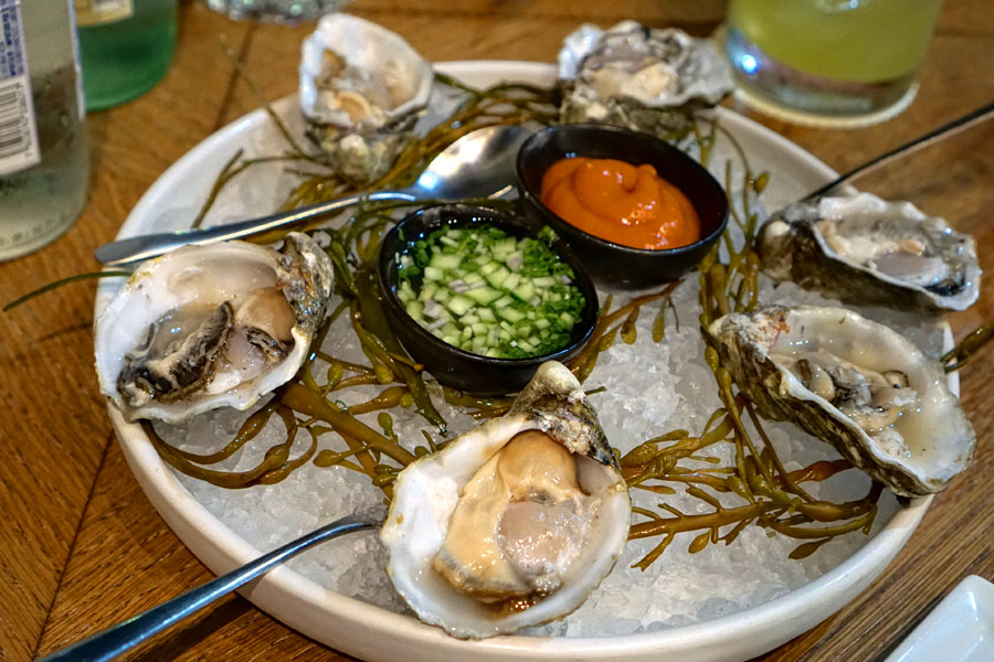 El Chingon Oysters on the Half Shell