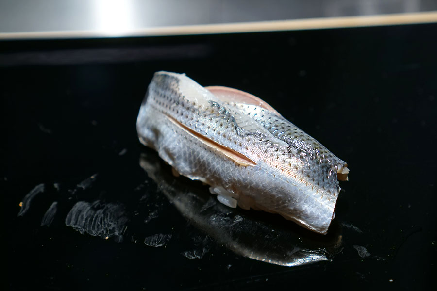 小肌 / Gizzard Shad