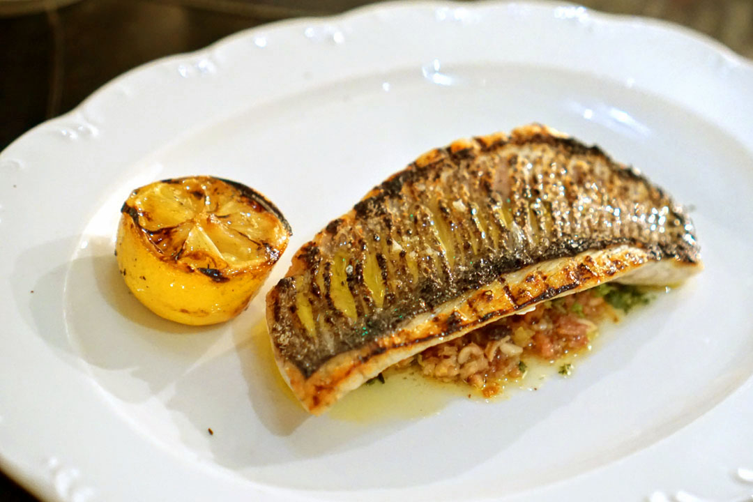 Sea Bream