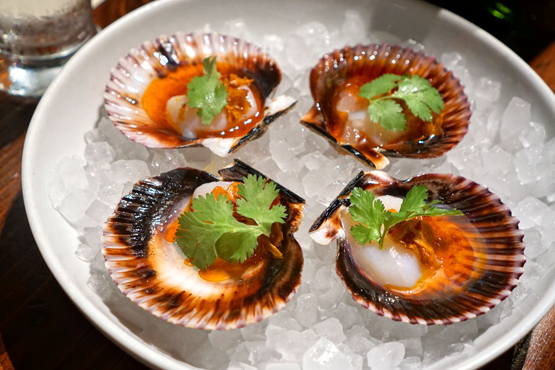 Peruvian Scallop Crudo