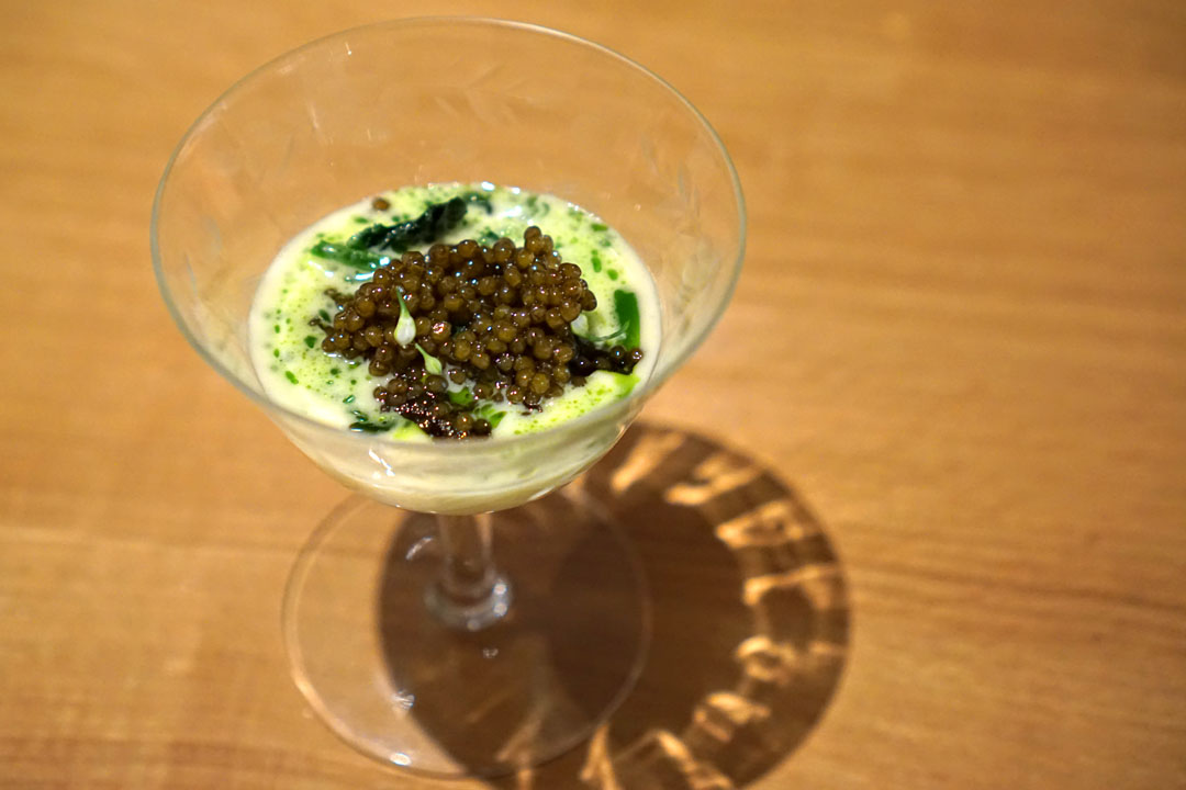 ASTREA KALUGA CAVIAR