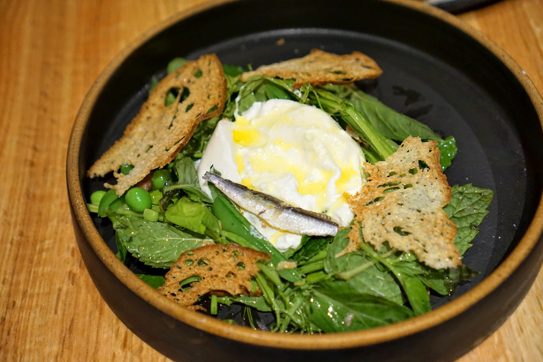 Burrata