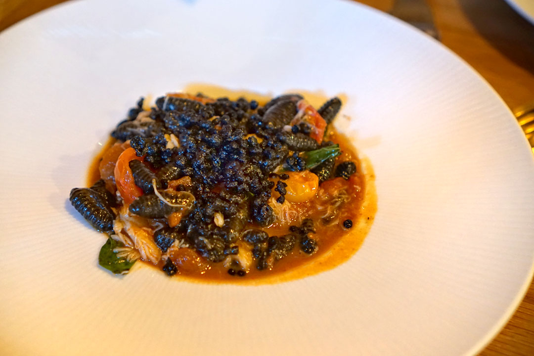 Ink Cavatelli