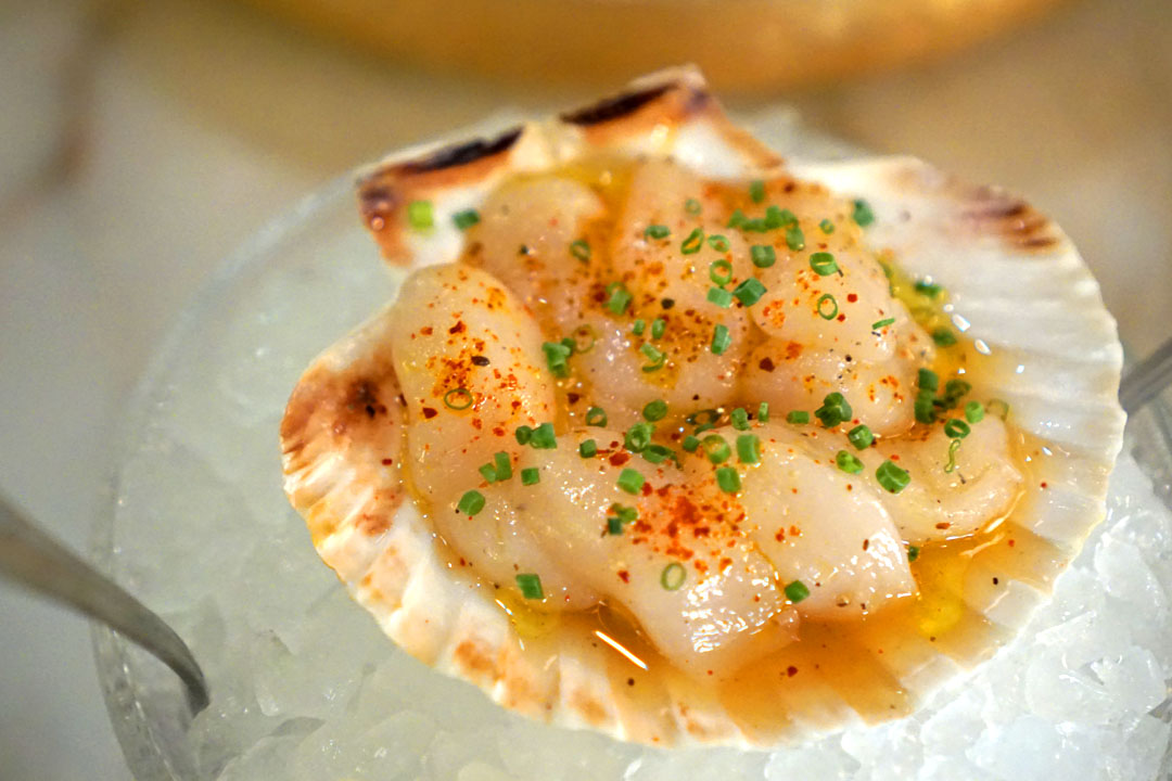 Maine Scallop Crudo