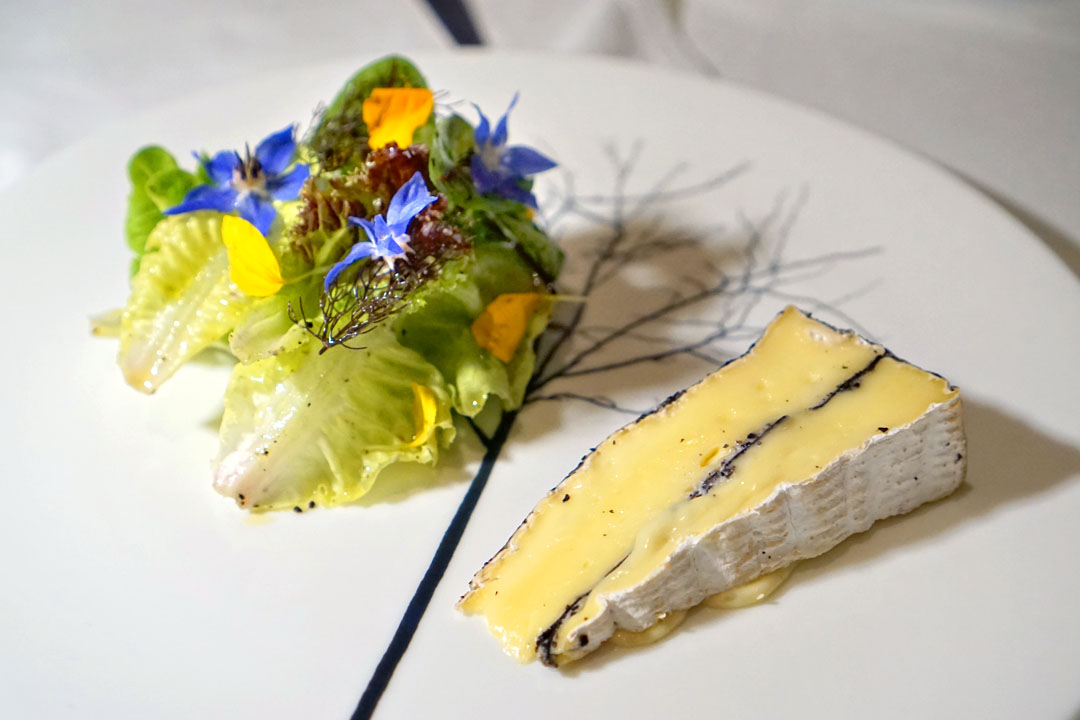 black truffle brie