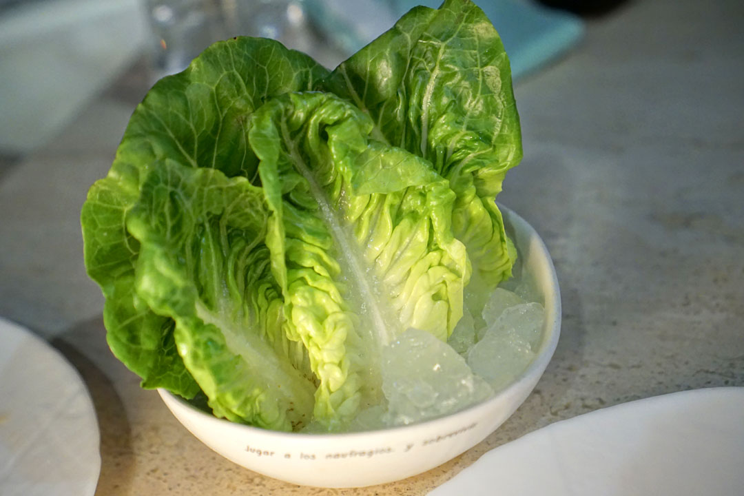 'Beefsteak' Tomato Tartare (romaine leaves)