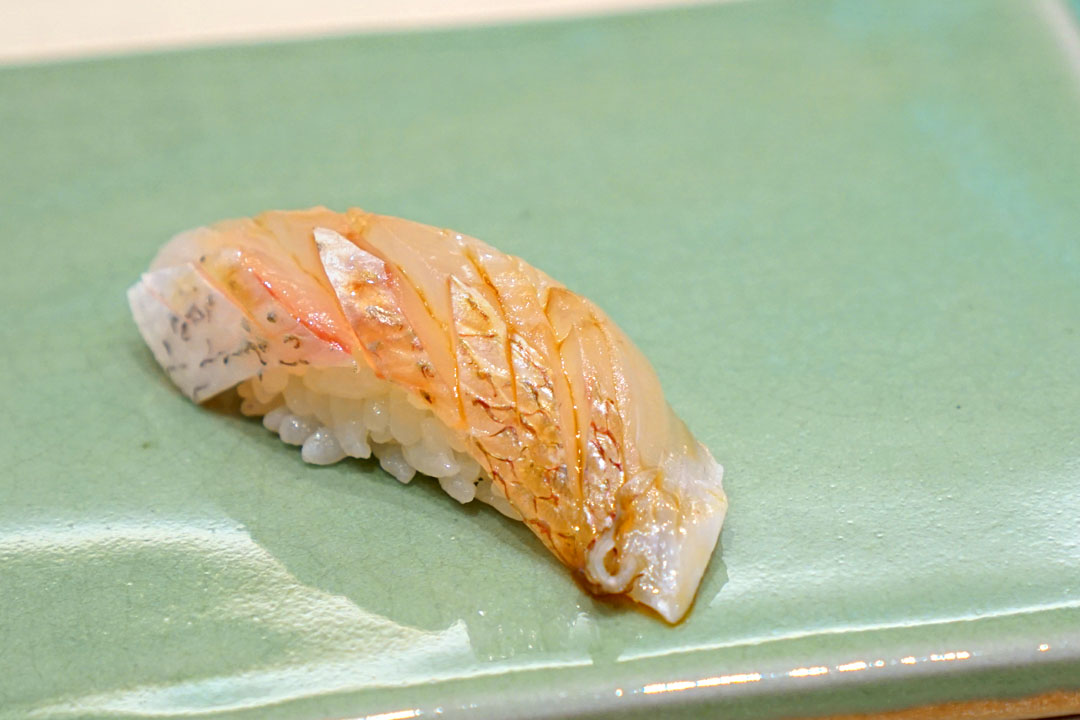 Kasugo Dai (Baby Snapper, Hyogo)