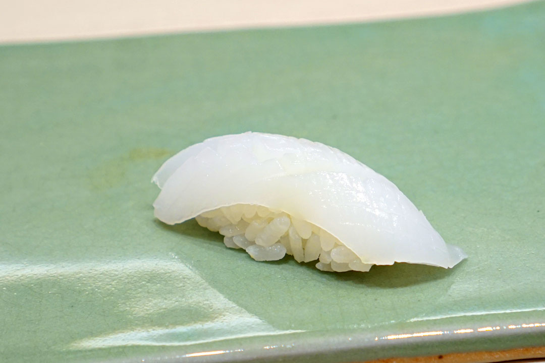 Aori Ika (Bigfin Reef Squid, Hyogo)