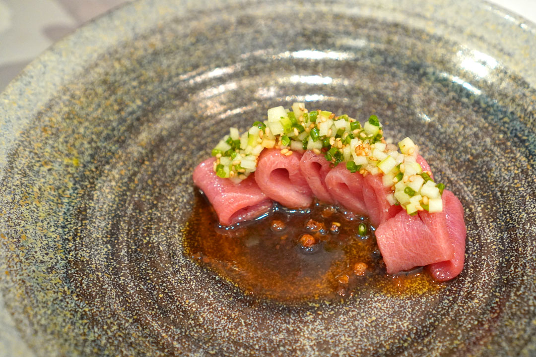 Bluefin Toro