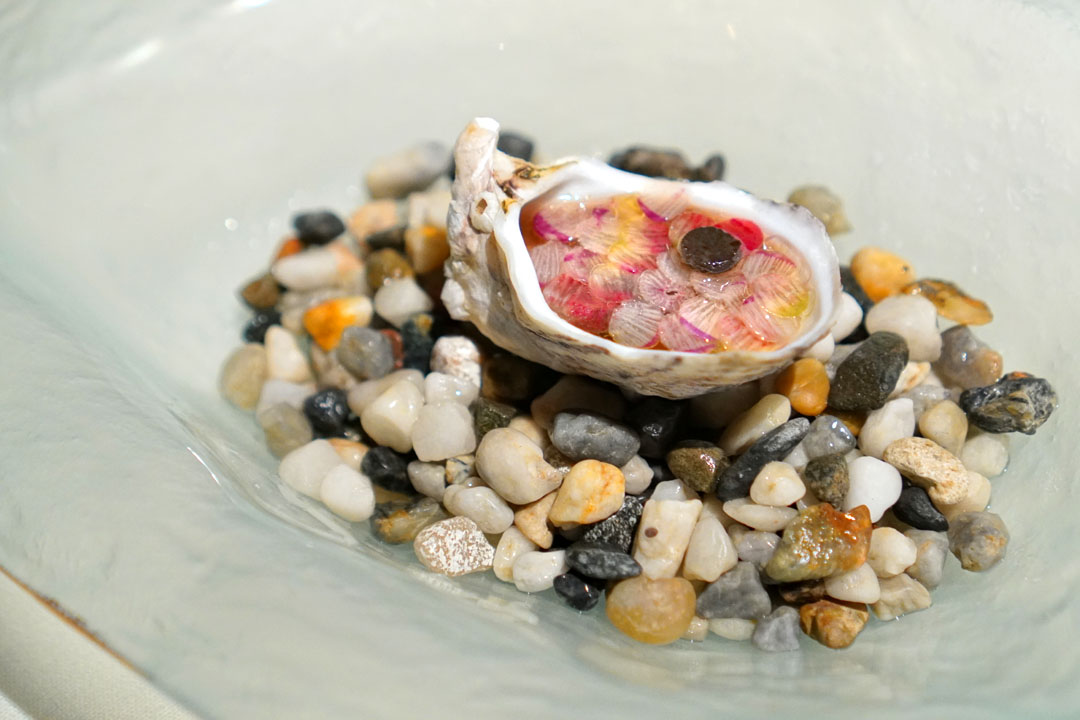 Oyster, radish and truffle gel