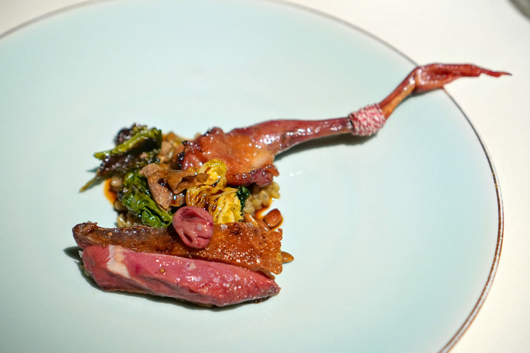 Squab with cabbage, farro verde and Périgord truffles