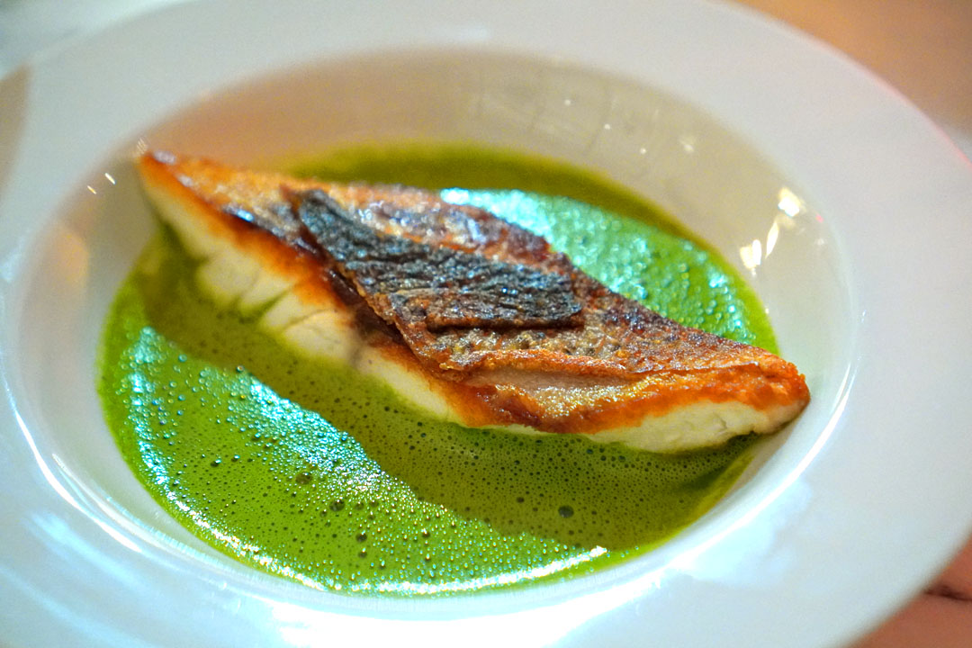 Striped Bass au Vert