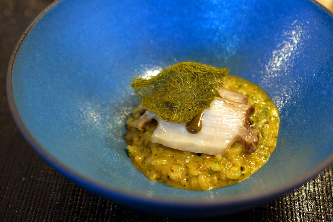 Abalone Risotto